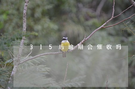 315后逾期会催收吗 315后逾期会催收吗