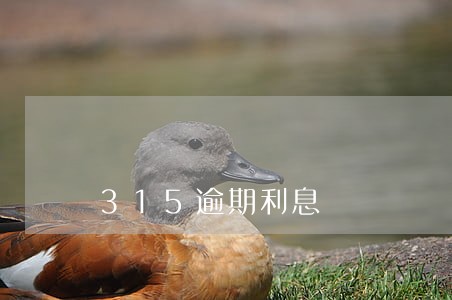 315逾期利息