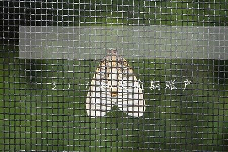 317批次逾期账户 317批次逾期账户