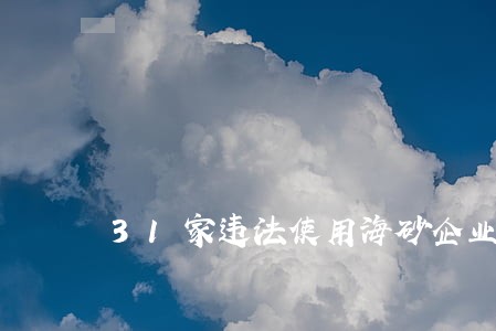31家违法使用海砂企业受罚 31家违法使用海砂企业受罚