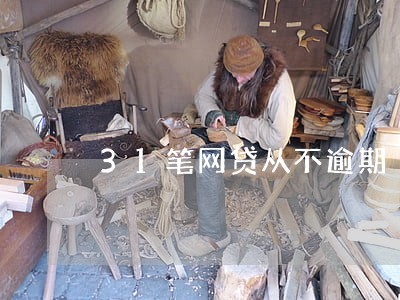 31笔网贷从不逾期 31笔网贷从不逾期