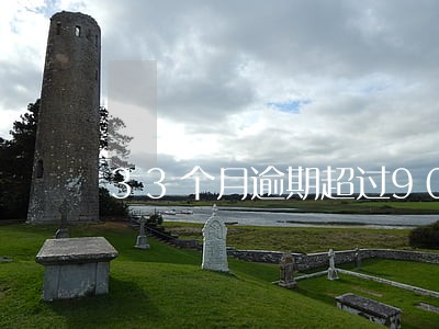 33个月逾期超过90天 33个月逾期超过90天