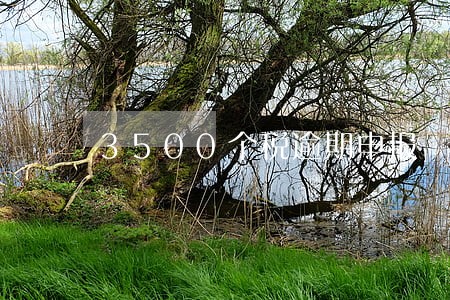 3500个税逾期申报 3500个税逾期申报