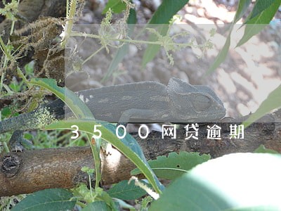 3500网贷逾期 3500网贷逾期