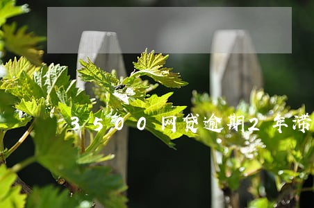 3500网贷逾期2年滞纳金 3500网贷逾期2年滞纳金