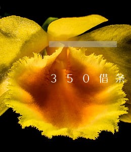 350借条借5千两百逾期利息 350借条借5千两百逾期利息