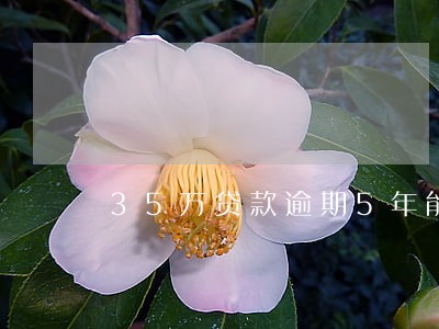 35万贷款逾期5年能减免罚息