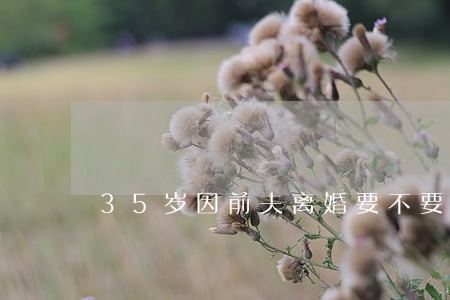 35岁因前夫离婚要不要二婚 35岁因前夫离婚要不要二婚