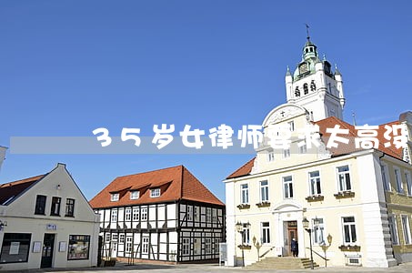 35岁女律师要求太高没人敢娶 35岁女律师要求太高没人敢娶