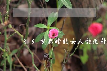 35岁离婚的女人能做什么工作 35岁离婚的女人能做什么工作