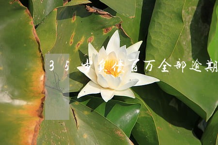 35岁负债百万全部逾期 35岁负债百万全部逾期