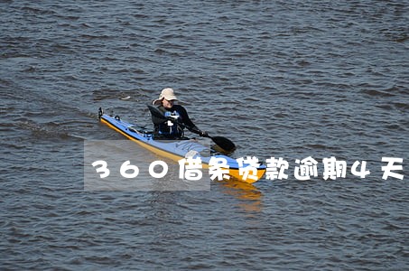 360借条贷款逾期4天还了 360借条贷款逾期4天还了