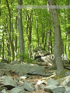 360催款只还本金 360催款只还本金