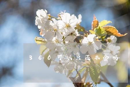 360可以只还本金吗 360可以只还本金吗