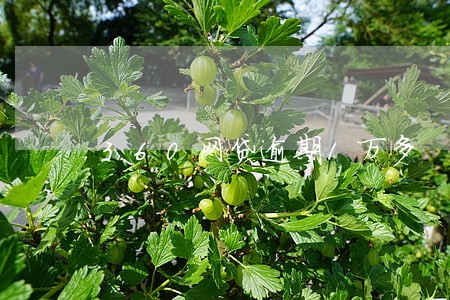 360网贷逾期1万多 360网贷逾期1万多