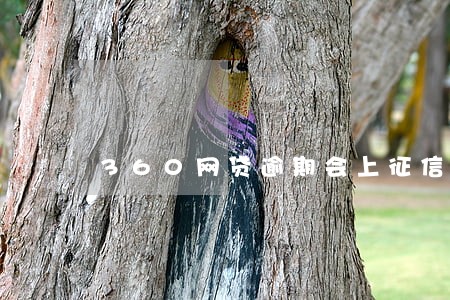 360网贷逾期会上征信吗 360网贷逾期会上征信吗
