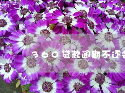 360贷款逾期不还会怎么样 360贷款逾期不还会怎么样