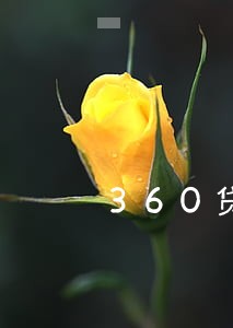 360贷款逾期会怎么样 360贷款逾期会怎么样