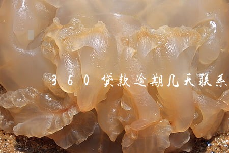 360贷款逾期几天联系朋友 360贷款逾期几天联系朋友