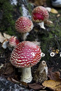 360逾期了办信用卡 360逾期了办信用卡