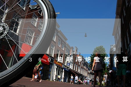 360逾期滞纳金怎么算 360逾期滞纳金怎么算