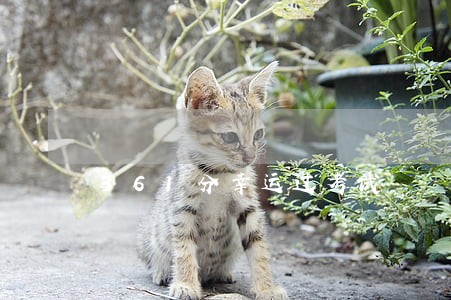 361分幸运过考试