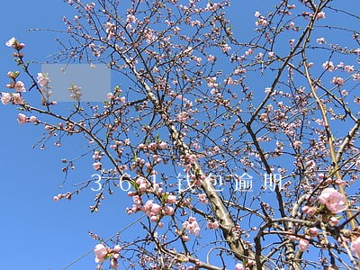 361钱包逾期 361钱包逾期