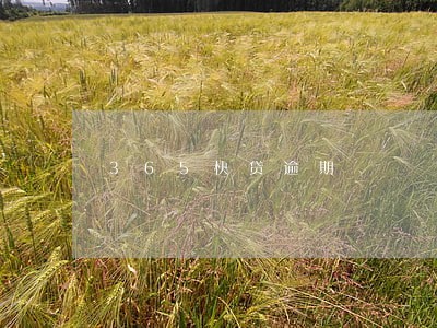 365快贷逾期 365快贷逾期