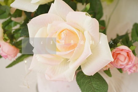 368借条逾期4天 368借条逾期4天