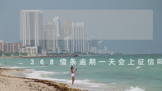 368借条逾期一天会上征信吗 368借条逾期一天会上征信吗