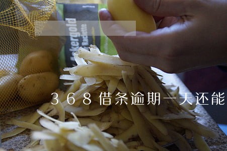 368借条逾期一天还能借吗 368借条逾期一天还能借吗