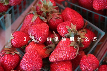368借条逾期怎么还 368借条逾期怎么还