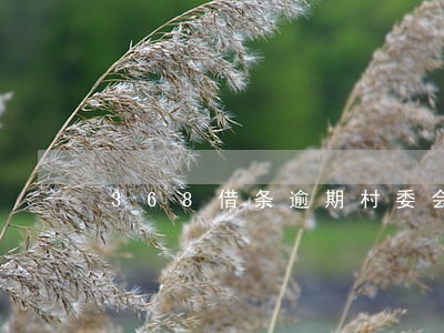 368借条逾期村委会 368借条逾期村委会