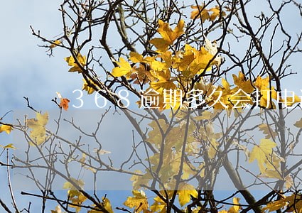 368逾期多久会打电话给联系人 368逾期多久会打电话给联系人