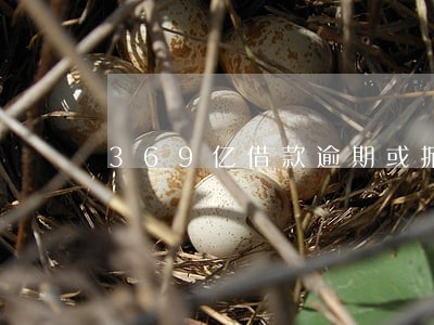 369亿借款逾期或掀风暴 369亿借款逾期或掀风暴