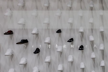 369借条逾期60天 369借条逾期60天