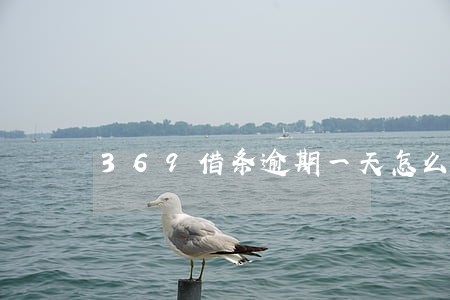 369借条逾期一天怎么还款 369借条逾期一天怎么还款