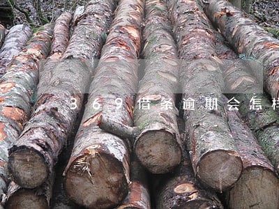 369借条逾期会怎样 369借条逾期会怎样