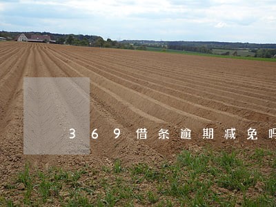 369借条逾期减免吗 369借条逾期减免吗