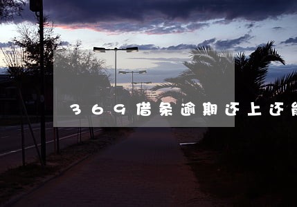 369借条逾期还上还能用吗