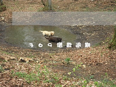 369借款逾期 369借款逾期