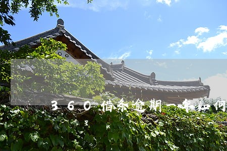 36O借条逾期一年如何还款 36O借条逾期一年如何还款