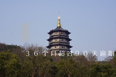 36个月超过90天逾期 36个月超过90天逾期