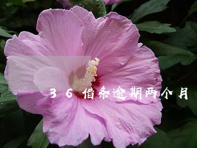 36借条逾期两个月 36借条逾期两个月