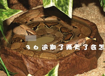 36逾期了两天了会怎么样