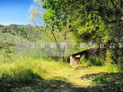 36逾期了能终止合同一次还完吗
