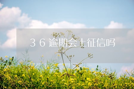 36逾期会上征信吗 36逾期会上征信吗