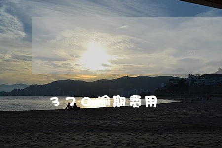 370逾期费用 370逾期费用