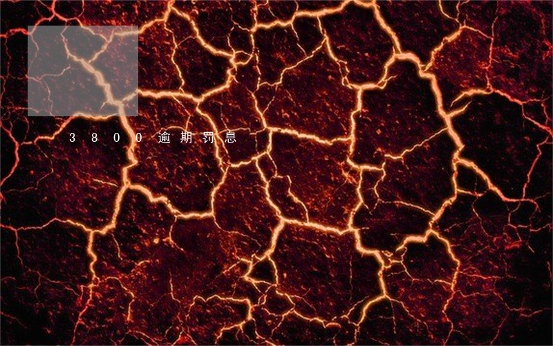 3800逾期罚息