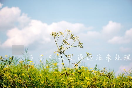 389次交通违法未处理 389次交通违法未处理